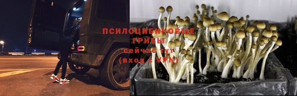 первитин Бородино