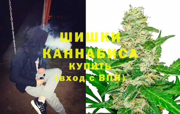 СК Елабуга