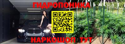 таблы Новодвинск