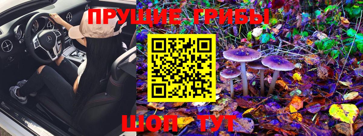 Псилоцибиновые грибы Psilocybine cubensis  Псилоцибиновые грибы ЛСД  Семилуки  Вход с VPN 