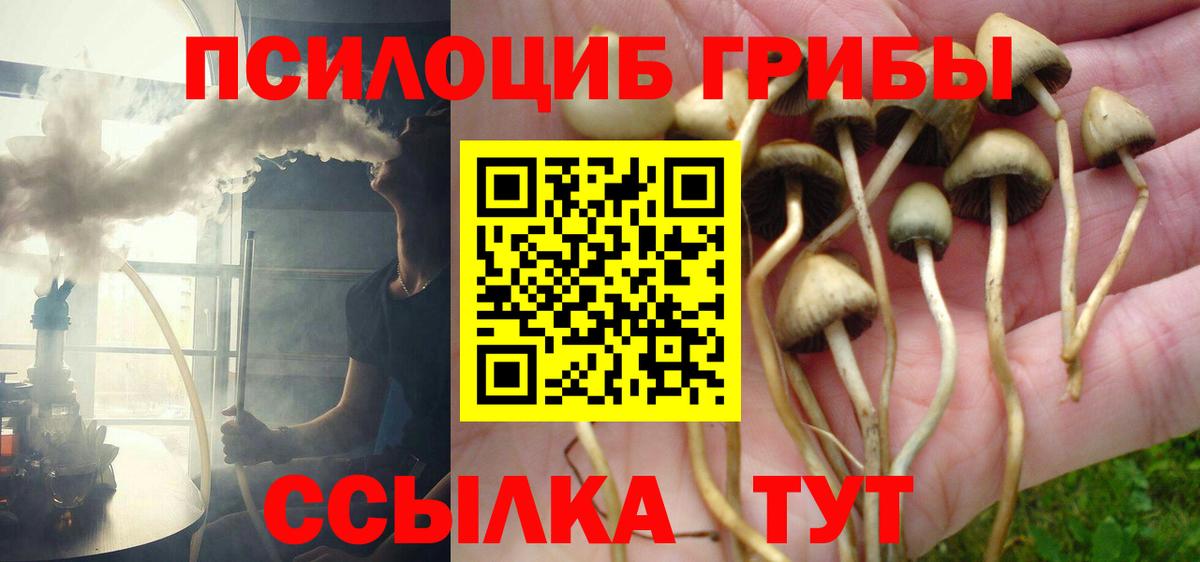 Галлюциногенные грибы мицелий Семилуки